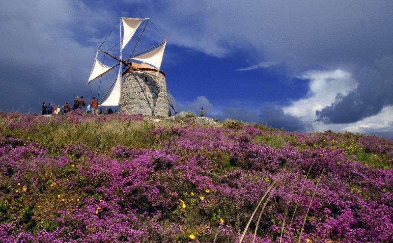 Casa De Campo Sossego Da Lata Fafe Exteriér fotografie