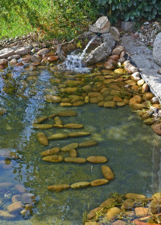 Casa De Campo Sossego Da Lata Fafe Exteriér fotografie